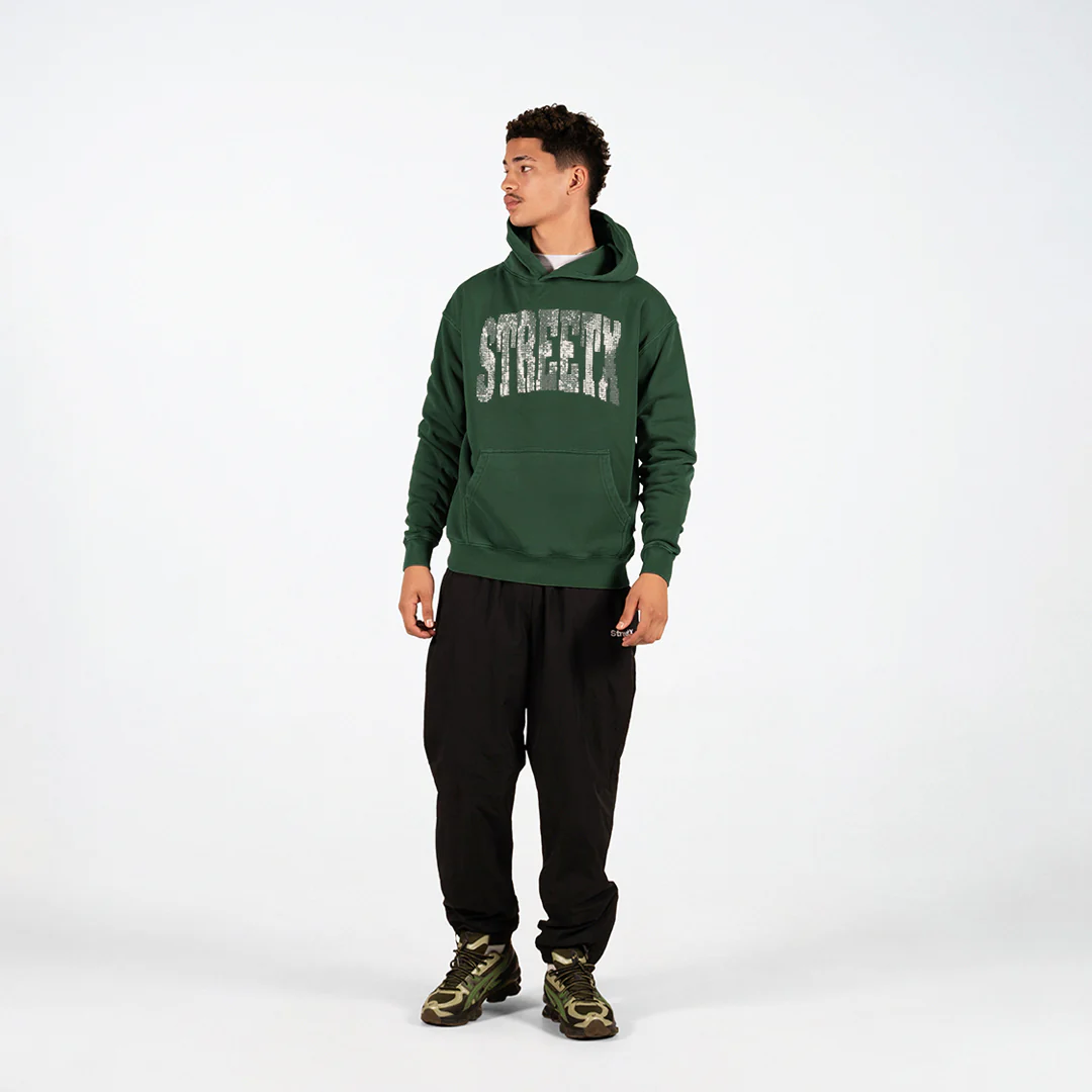 College Bling Hooded Fleece - Image 4